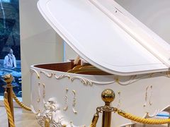 -柏斯琴行(汾阳店)