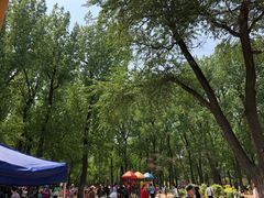 -二一九公园
