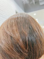 -程Studio
