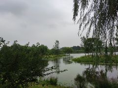 -东郊湿地公园