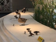 -泗洪县文化艺术中心