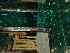 -冰城小镇音乐串吧·聚会餐厅(百子湾店)
