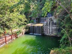 -千岛湖东南湖区