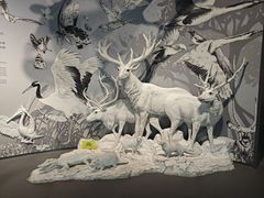 -中国湿地博物馆
