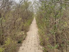 -元大都城垣遗址公园