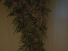 -旗秀足道养生会所(荣华大厦店)