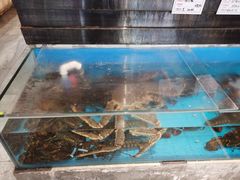-中苑海韵