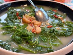 -羽鸽集·乳鸽专门店·地道顺德菜(岭南站店)