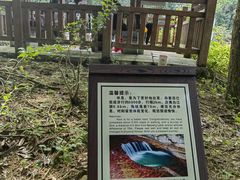 -广州白江湖森林公园