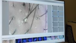 -史云逊养发护发