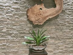 -滋粥楼·顺德菜海鲜茶点(方舟店)
