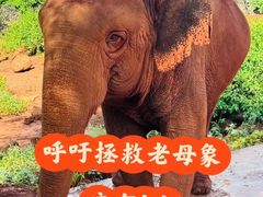-海南热带野生动植物园