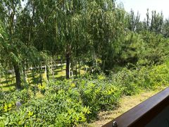 -永定河休闲森林公园