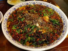 杨记招牌鱼-杨记隆府(南坪店)