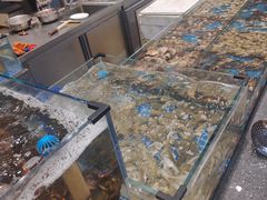 -半岛听涛蒸汽海鲜自助(K11店)