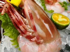 -曙亚洲餐厅-重庆富力艾美酒店(南坪万达广场店)