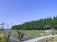 -嘉北郊野公园