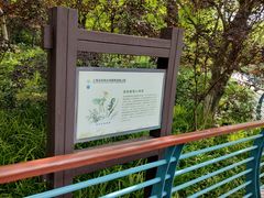 -上海吴淞炮台湾国家湿地公园
