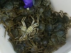 -北京清河镇农副产品交易市场中心