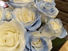 -万达广场(东莞厚街店)