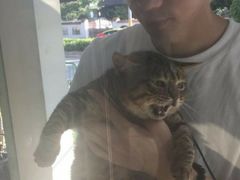 -派多格宠物(鼓楼店)