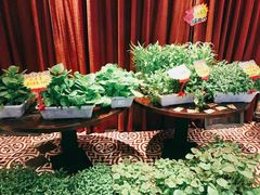 -永安鱼庄·镇江菜(三店纬五路店)