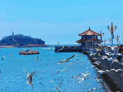 -郑庄脂渣海鲜楼(九水路店)