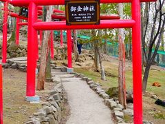 -宫城藏王狐狸村