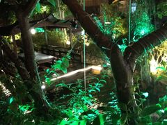 -花溪雨·森林餐厅(石基店)