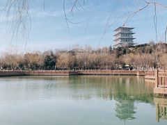 -西安世博园