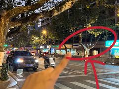 -金姐台湾菜(珠江路店)