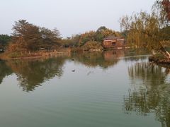-海珠湖公园