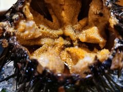 海胆-三月居酒屋(青年大街店)