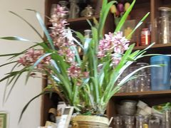 -三色堇(小通巷店)