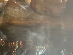 -深业半汤御泉庄温泉