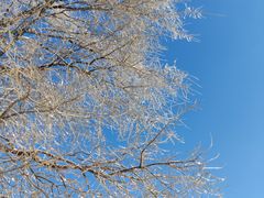 -长春公园(普阳街道)