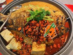 招牌香辣豆花烤鱼-探炉·香辣豆花烤鱼(笋岗宝能环球汇店)