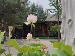 -天津市峰山药王古寺