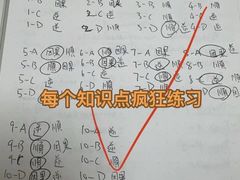 -JT PREP国际学科课程·IB·AP·Alevel(陆家嘴校区)