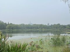 -北坞公园