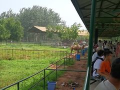 -秦皇岛野生动物园