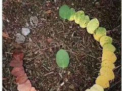 -巴黎贝甜(周浦海印店)