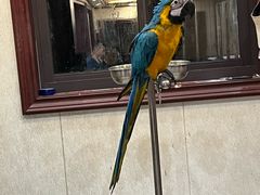 -观桥阁(锦溪店)