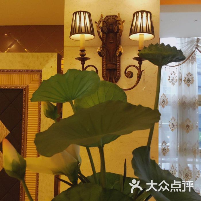 魔指仙境(中央路店)-图片-南京休闲娱乐-大众点评网