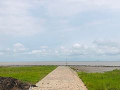 -南汇嘴观海公园