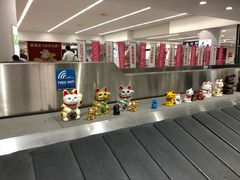 -中部国际机场