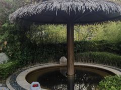 -大连金石滩绿发温泉假日酒店