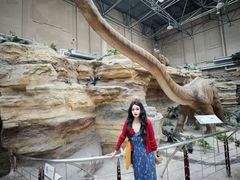 -国家自然博物馆