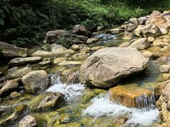 -广州白江湖森林公园