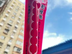 -和禄德冰糖葫芦(东四朝内菜市场店)